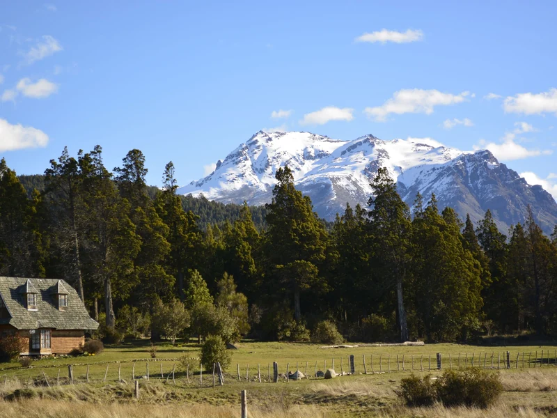 Casa de campo entre pinos con un cerro nevado en Esquel