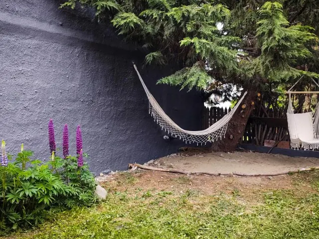 Jardín de Antarctica Hostel en Ushuaia