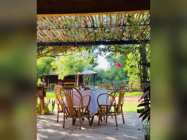 Terrace at Hostel Che Camba 1 in Iberá Wetlands